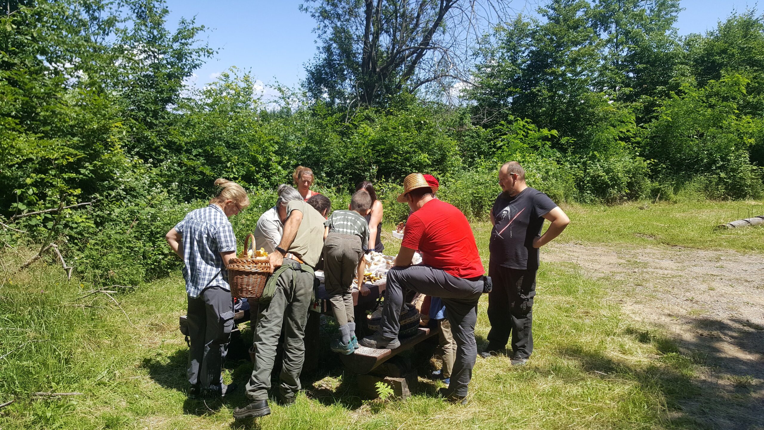 gombaismereti-tanfolyam-egerben-1