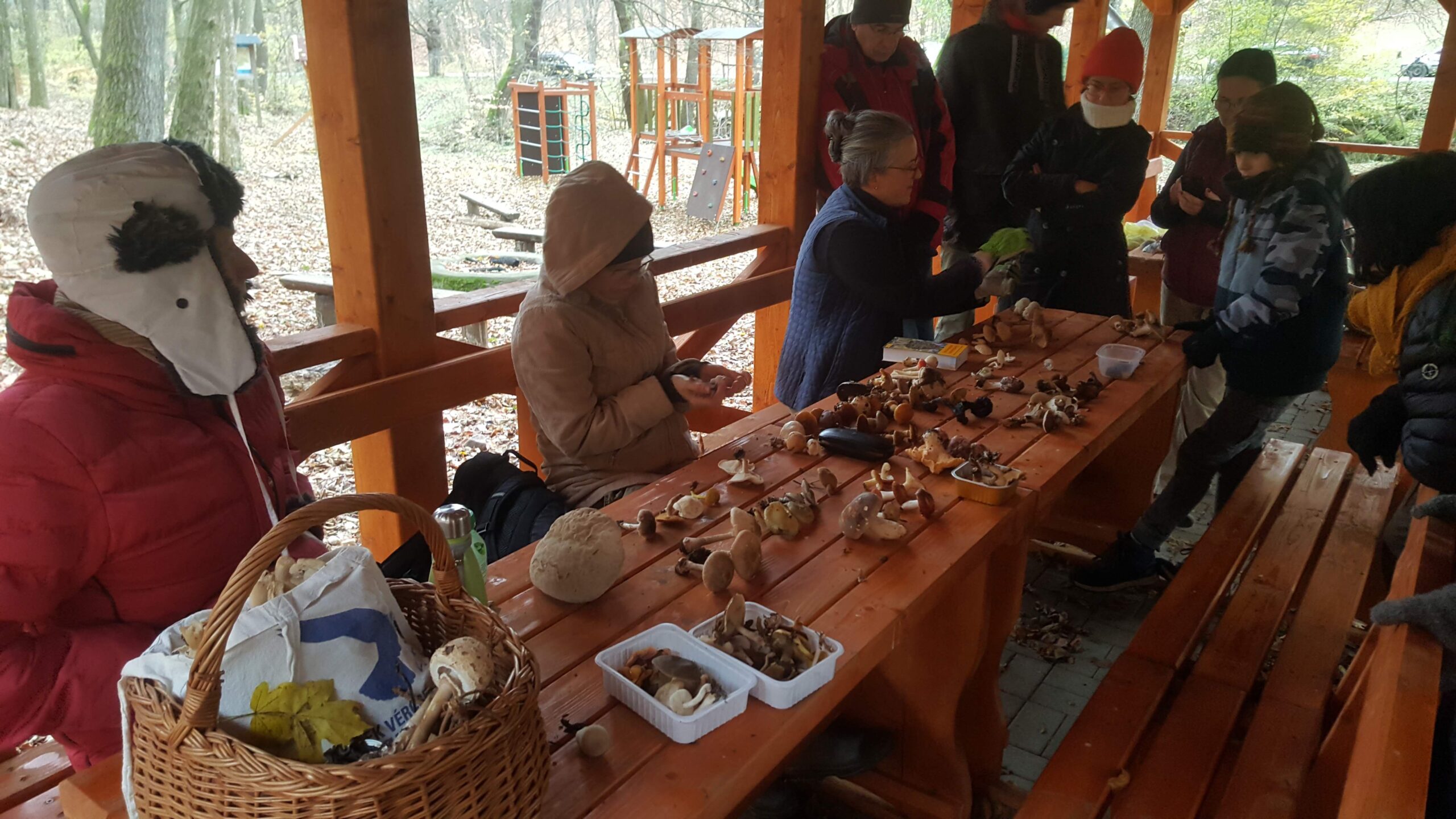 gombaismereti-tanfolyam-egerben-11