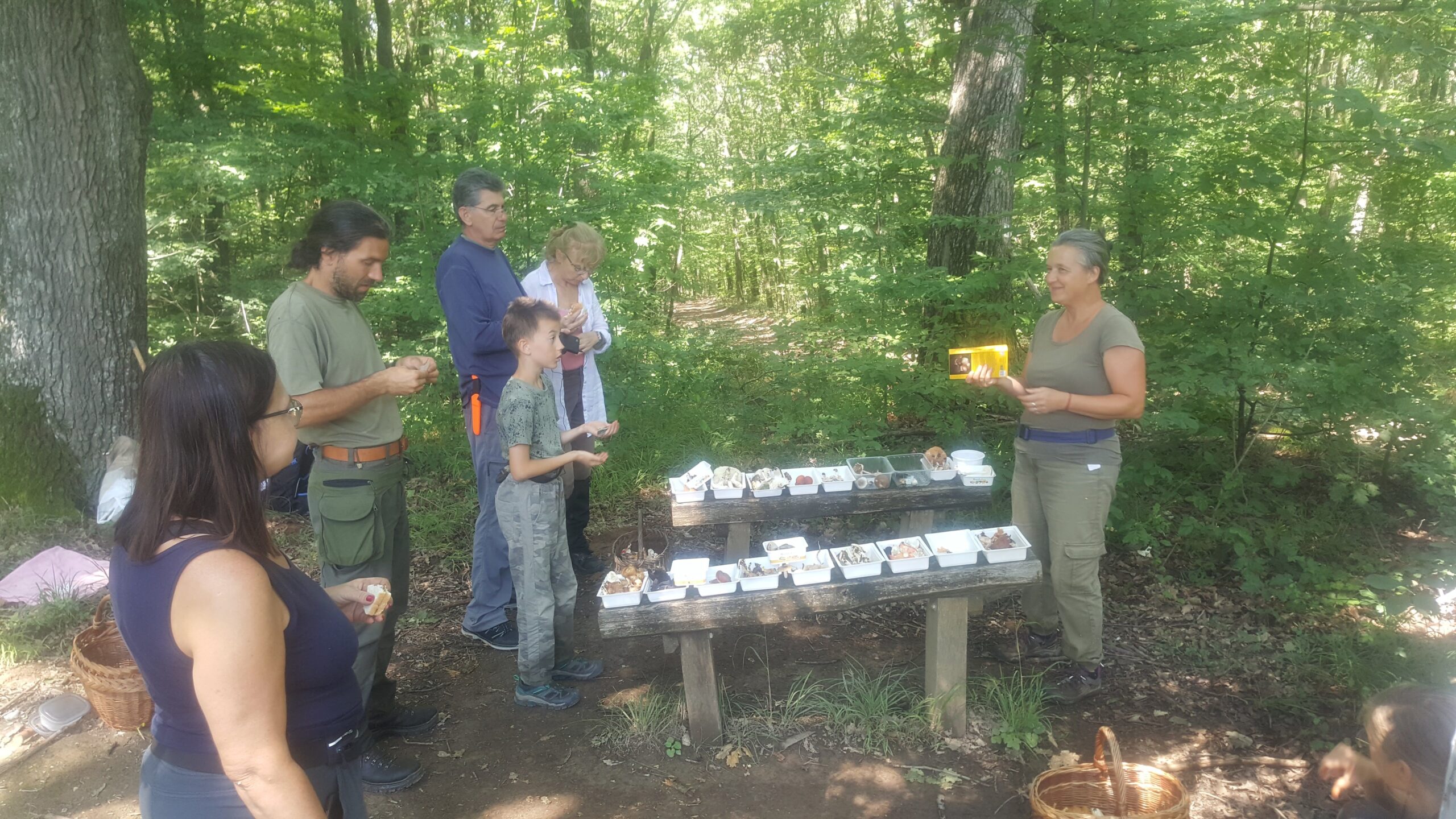 gombaismereti-tanfolyam-egerben-2