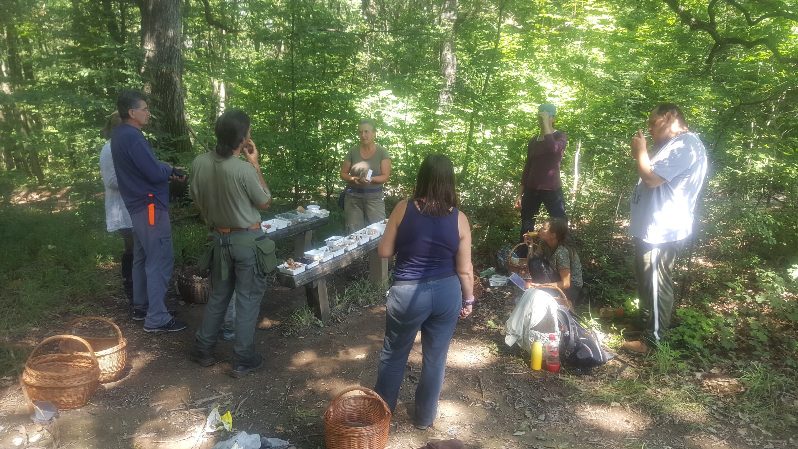 gombaismereti-tanfolyam-egerben-3