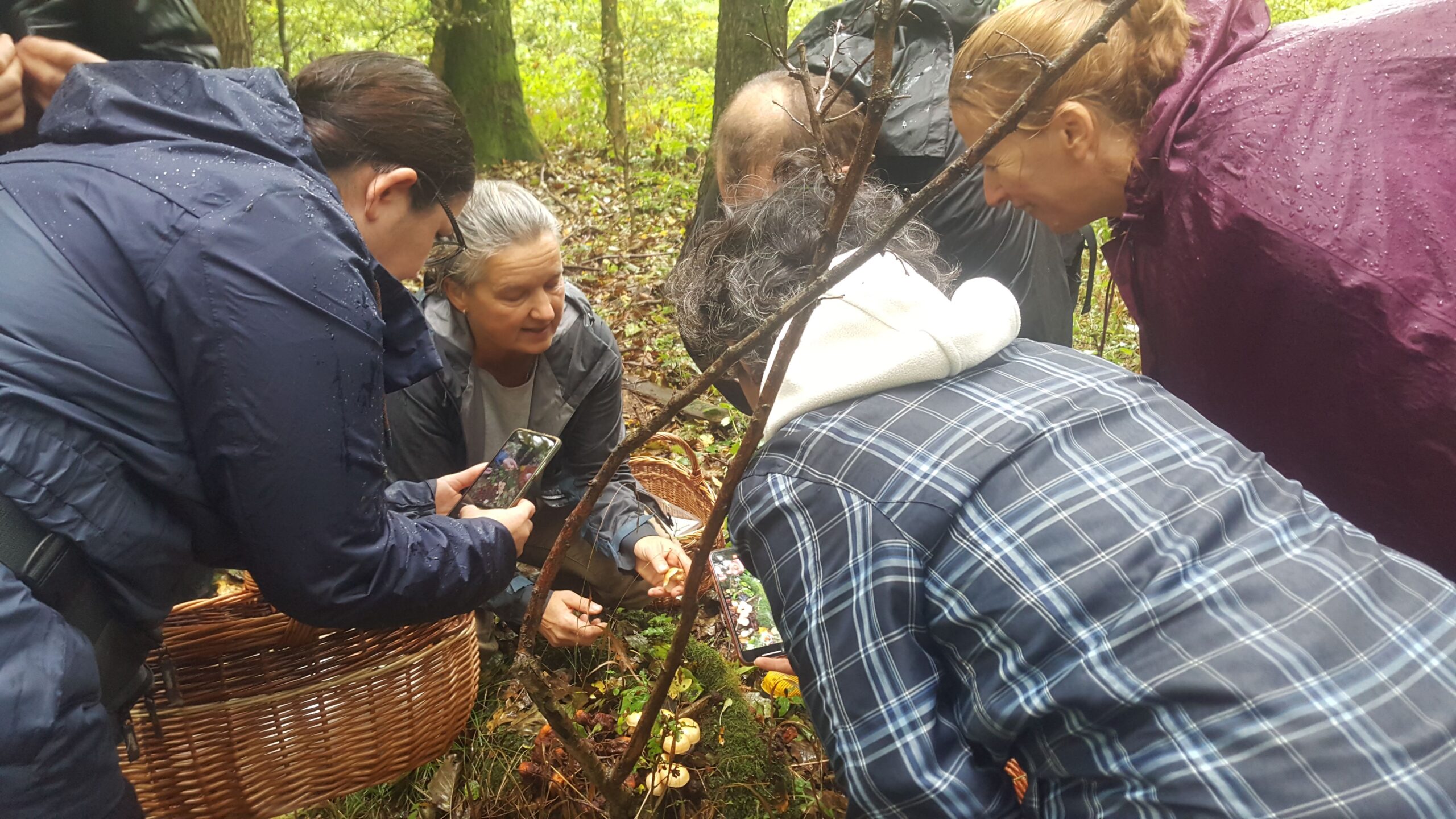 gombaismereti-tanfolyam-egerben-8