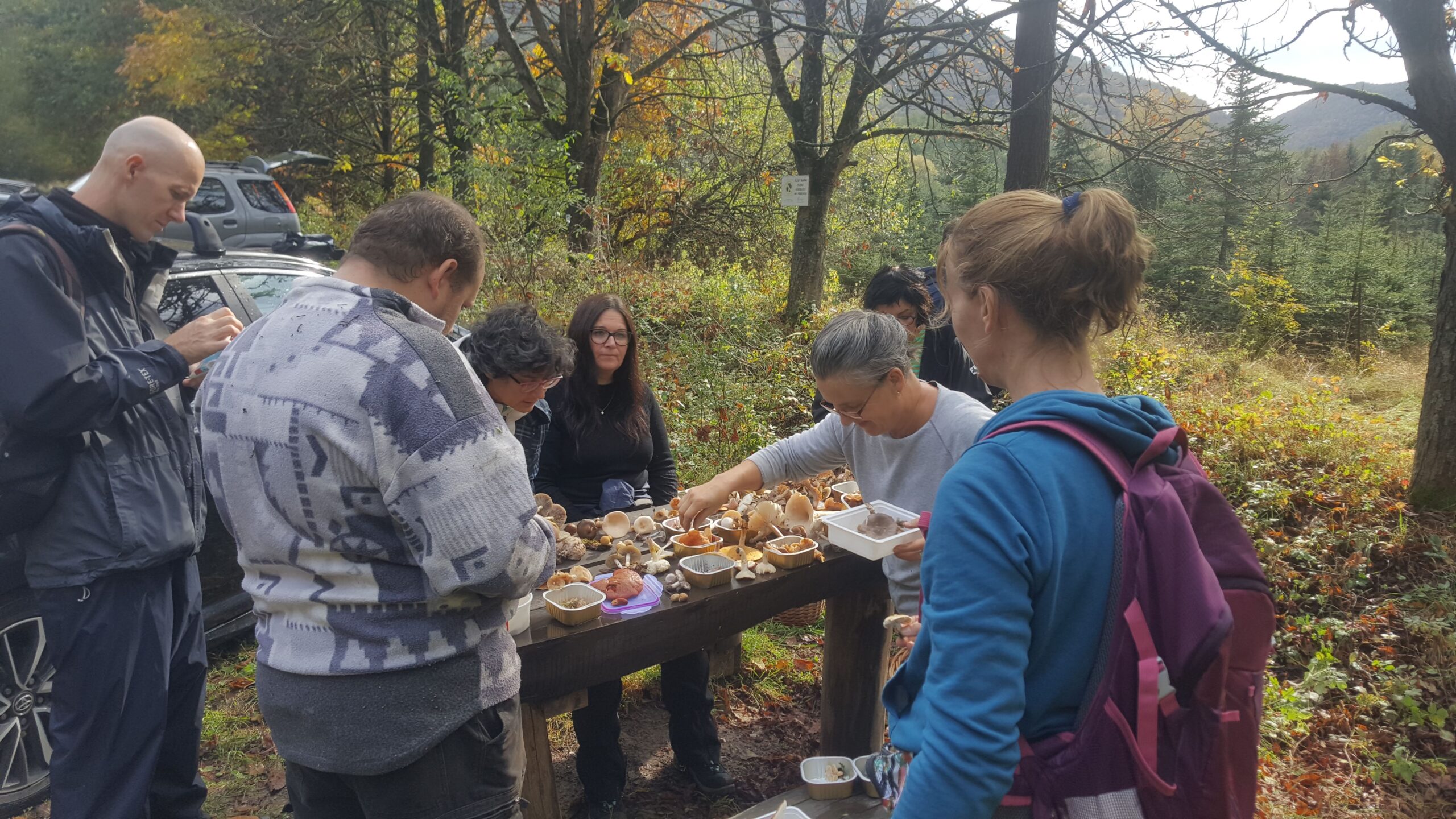 gombaismereti-tanfolyam-egerben-9